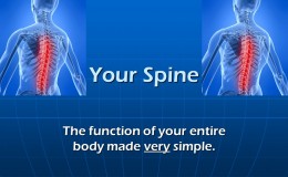 Your Spine